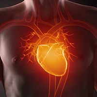 Angina, Heart Attack, and Massage Therapy