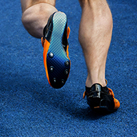 Tibialis Anterior Muscle and Tendon Injuries