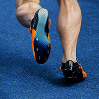 Tibialis Posterior Muscle and Tendon Injuries