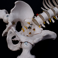 Sacroiliac Joint Dysfunction